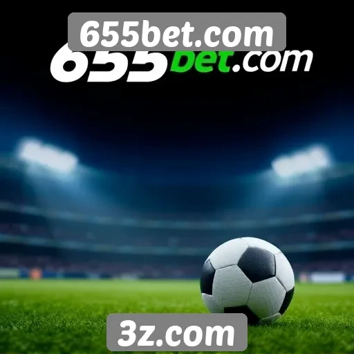 Segurança e privacidade no site 655bet.com